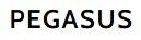 PEGASUS GLOBAL CO.