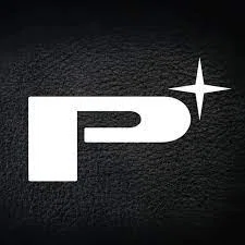 Perfectionist Auto Sound & Security