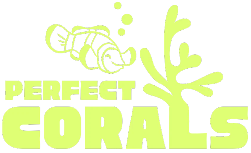 Perfect Corals