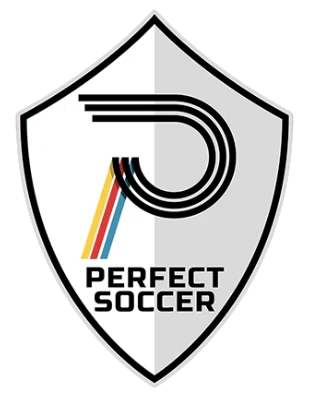 Perfect Soccer