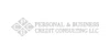 Personal & Business Credit Consulting