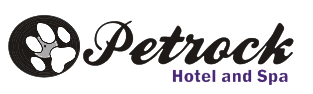 Petrock Hotel and Spa