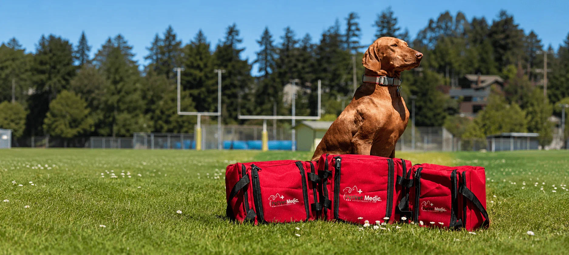 Pet Vet Products