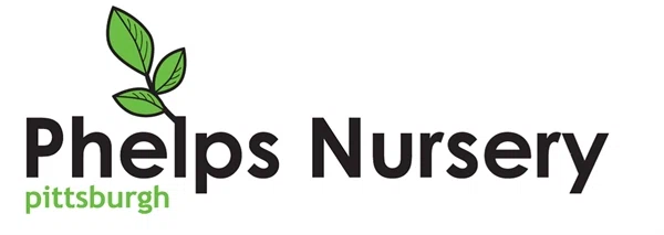 Phelps Nursery Pittsburgh