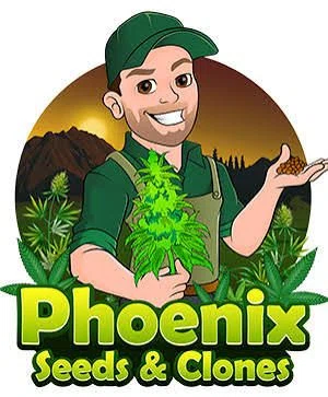 Phoenix Seeds & Clones