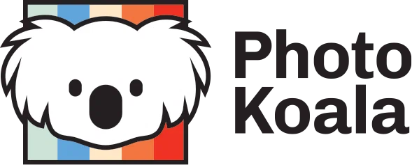 Photo Koala
