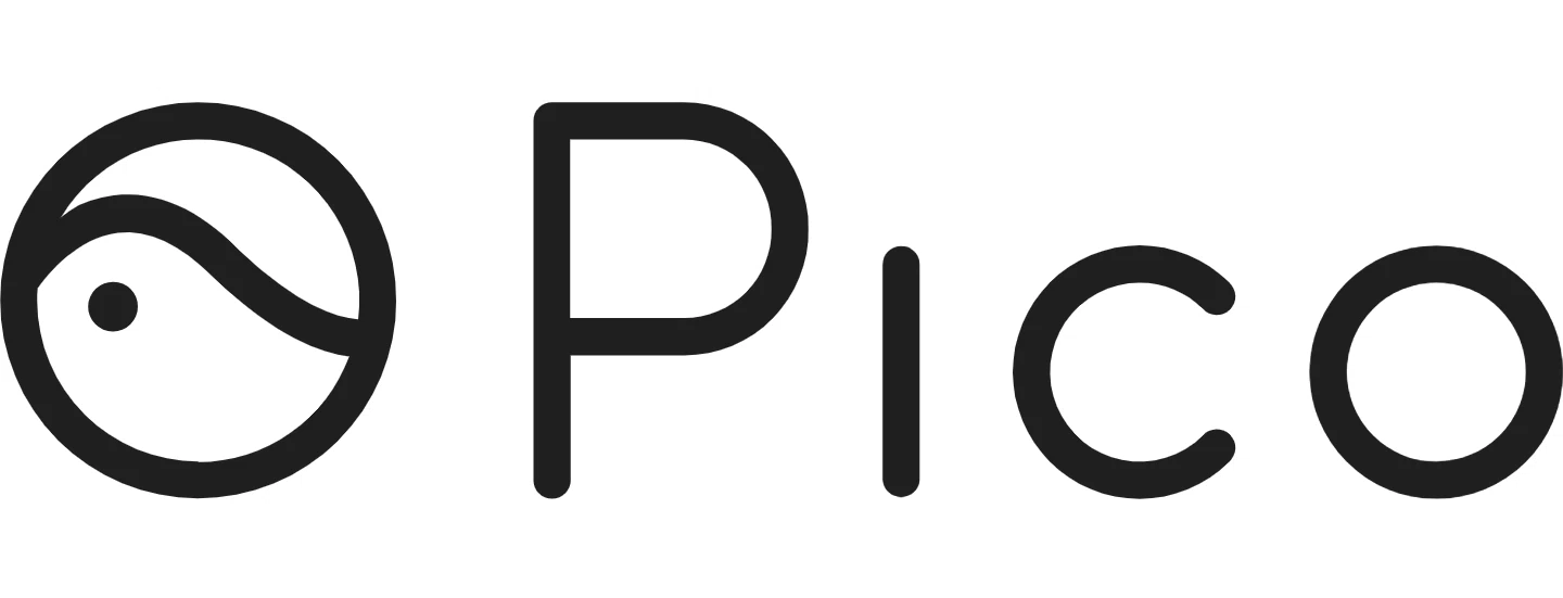Pico Interactive