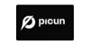 Picun