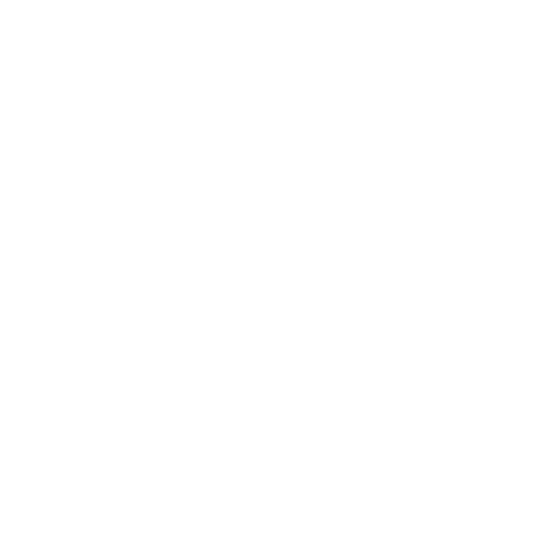 Piffles & Promises Publishing