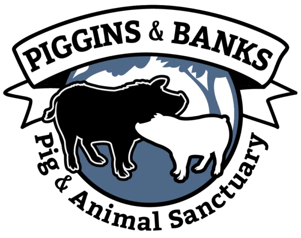 Piggins and Banks