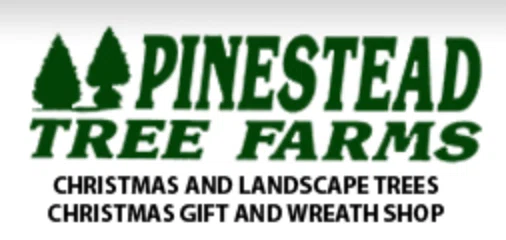 Pinestead Christmas Trees