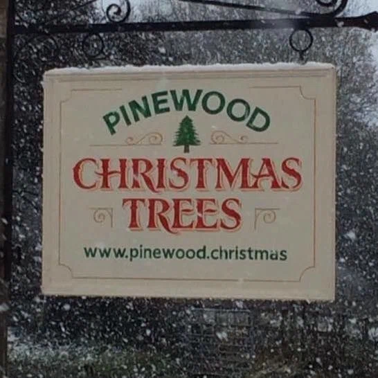 Pinewood Christmas