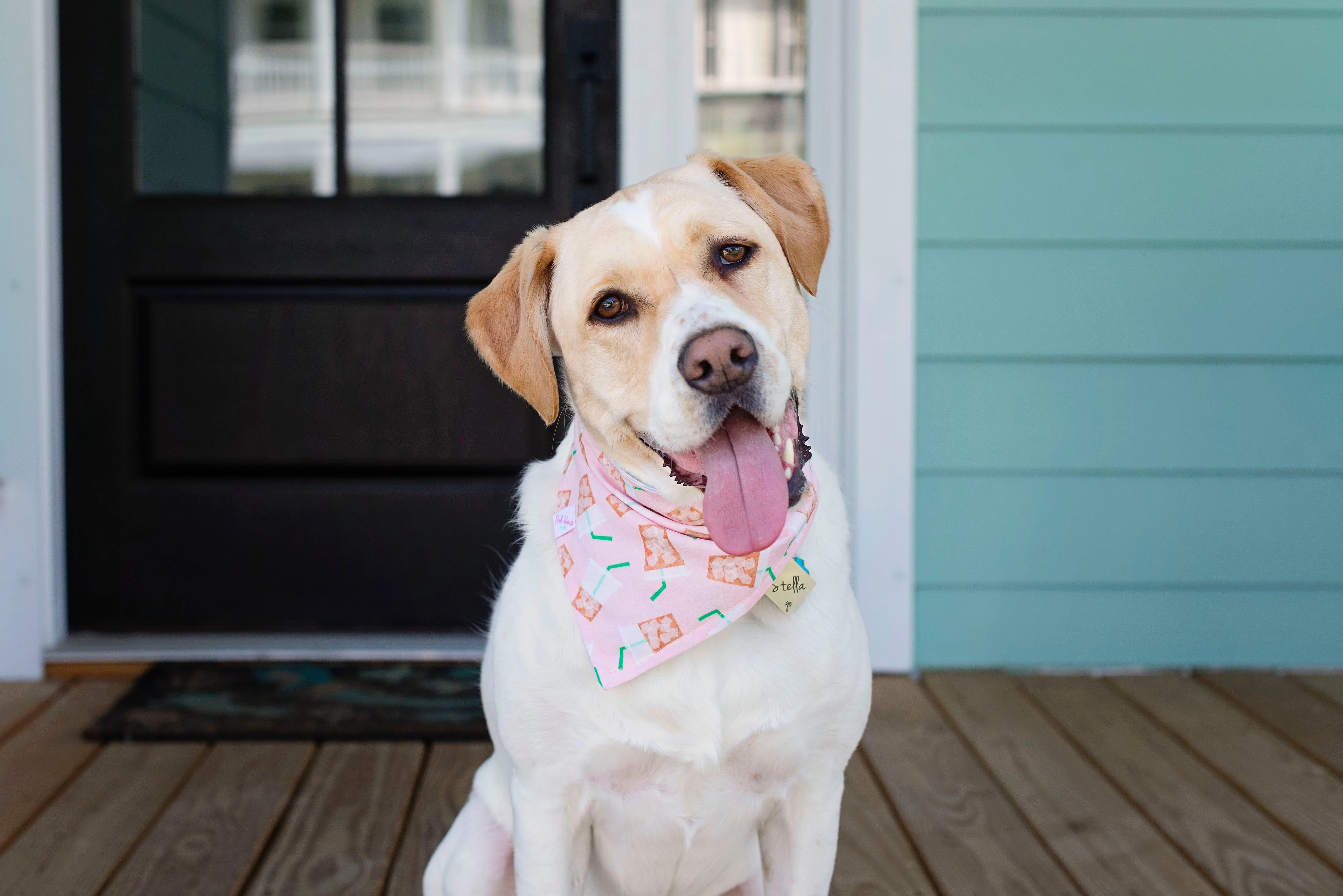 Pink House Pups