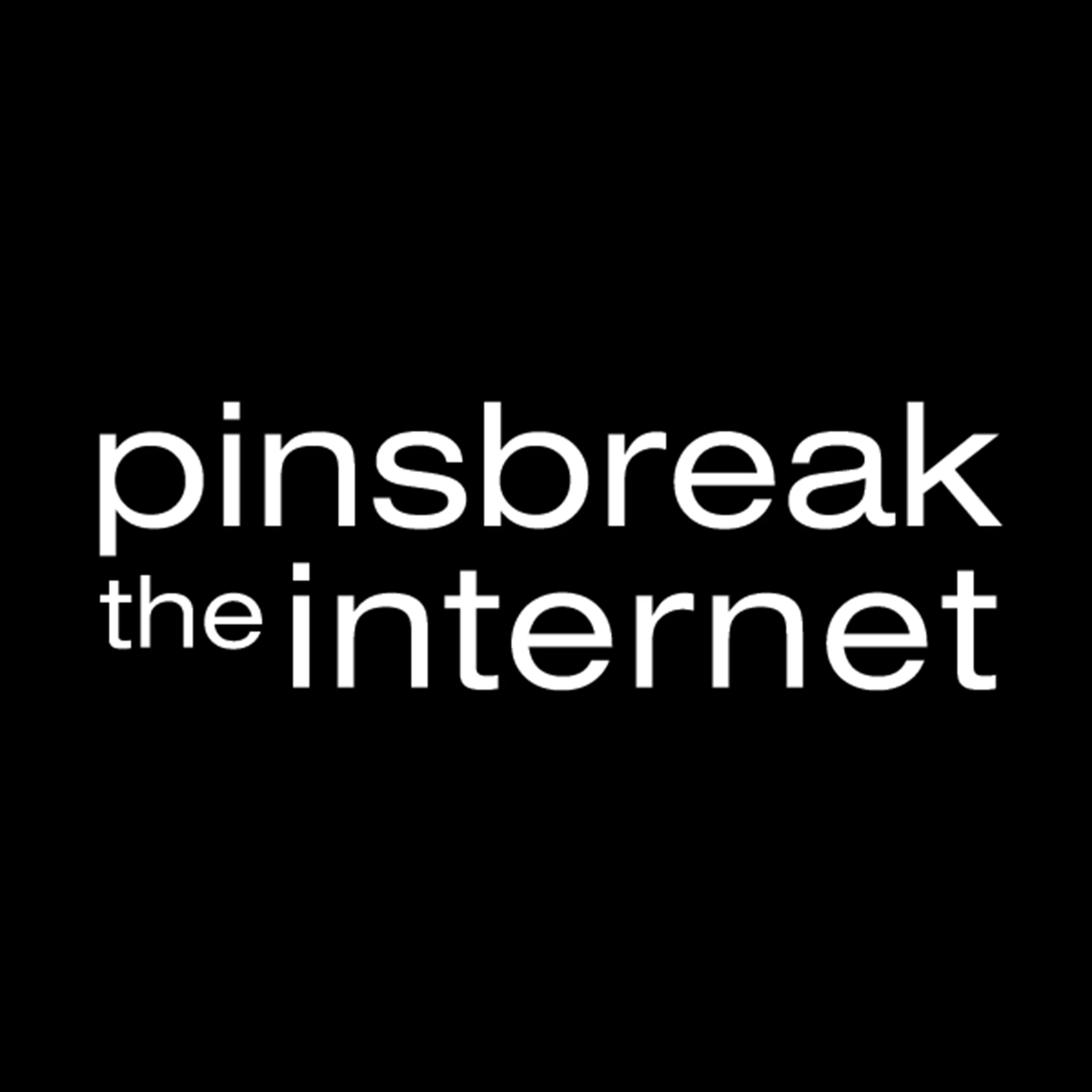 Pins Break the Internet Logo for Discount Codes