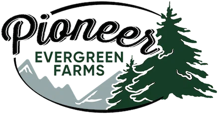 Pioneer Evergreen Farms