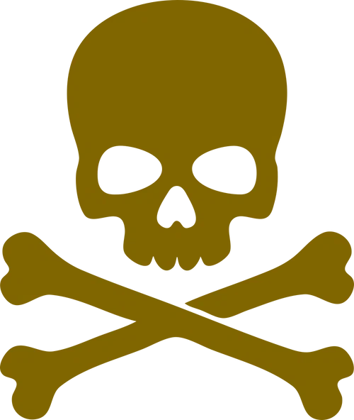 Pirate Bible