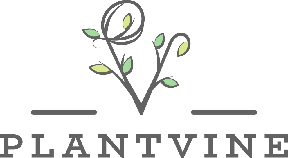 Plant Vine