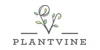 Plant Vine
