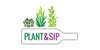 Plant and Sip