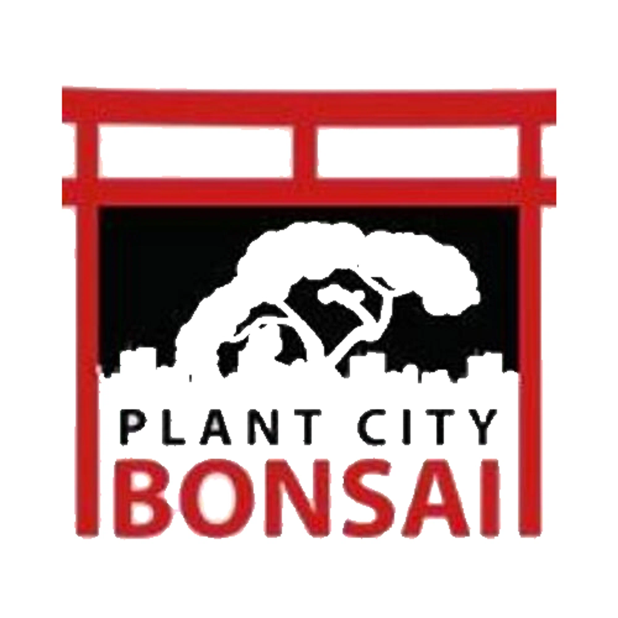 Plant City Bonsai