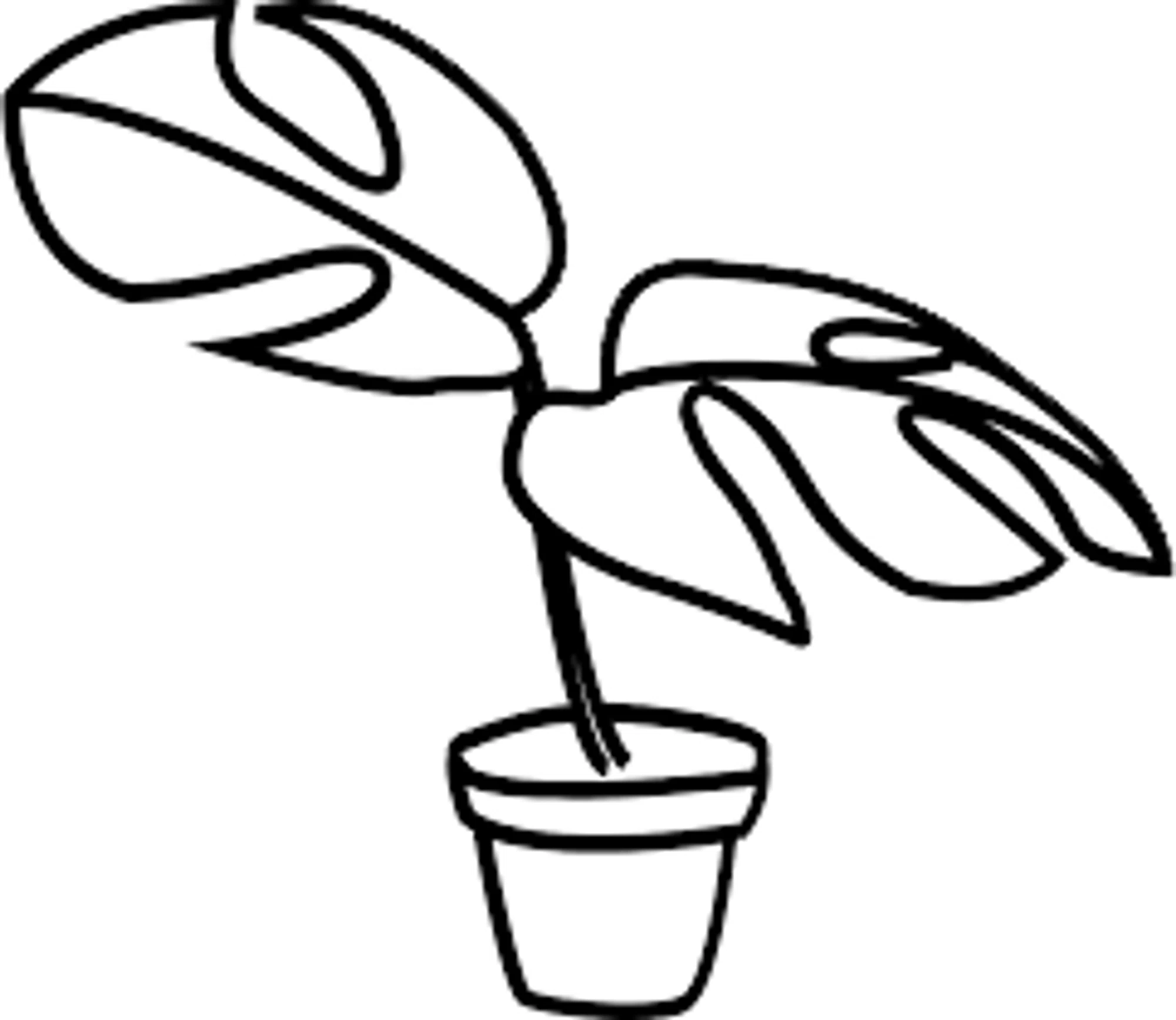 Plantology Logo for Special Discounts