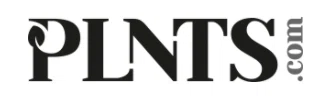 PLNTS.com