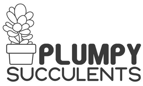 Plumpy Succulents