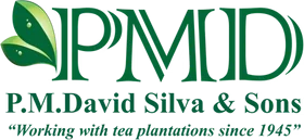 PMD Tea Logo for Promo Codes