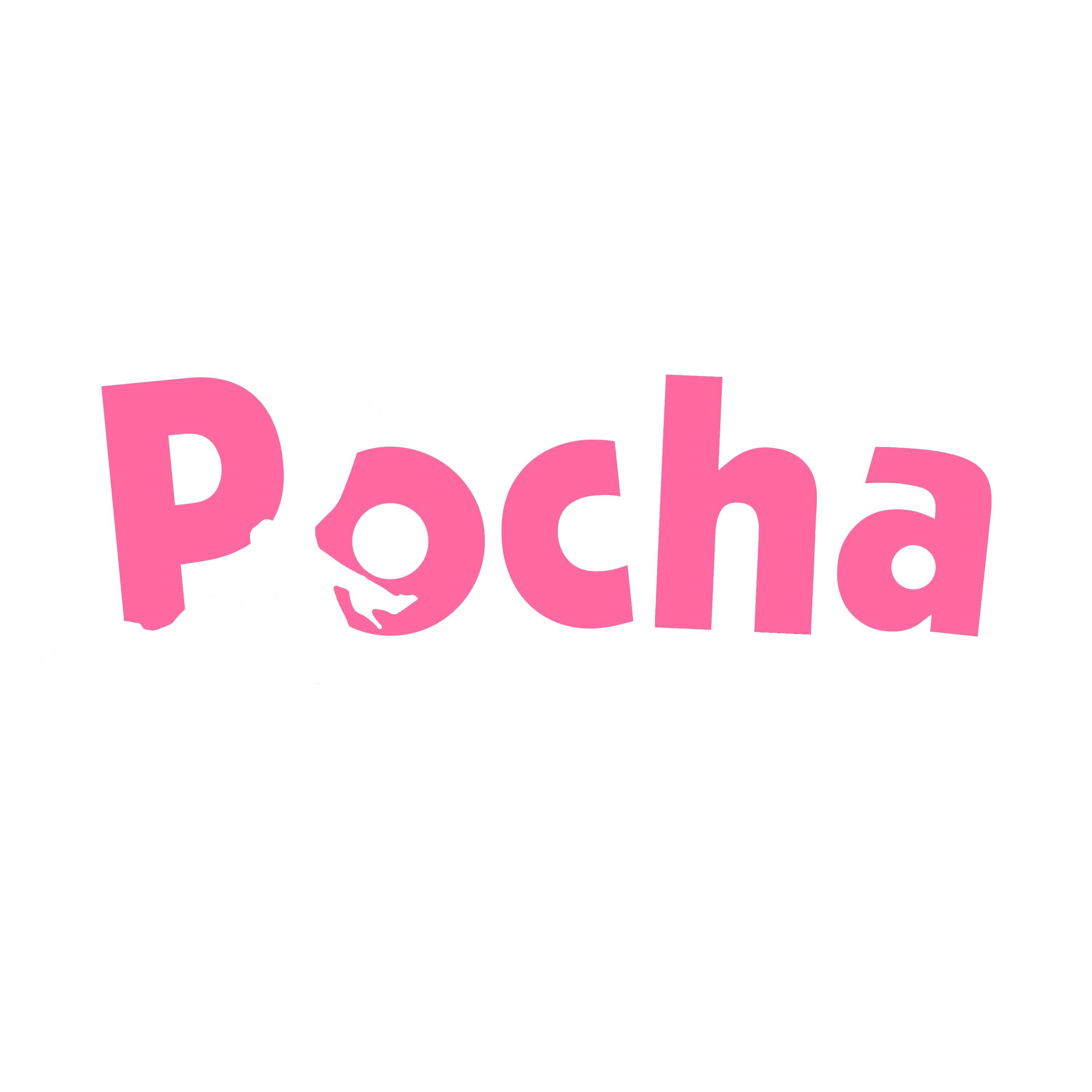 Pocha World