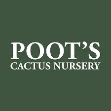 Poot’s Cactus
