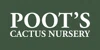 Poot’s Cactus