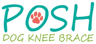 Posh Dog Knee Brace