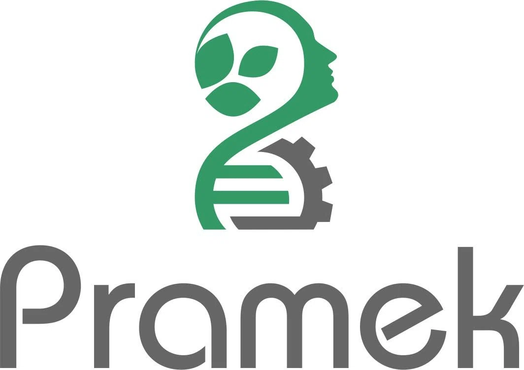 Pramek