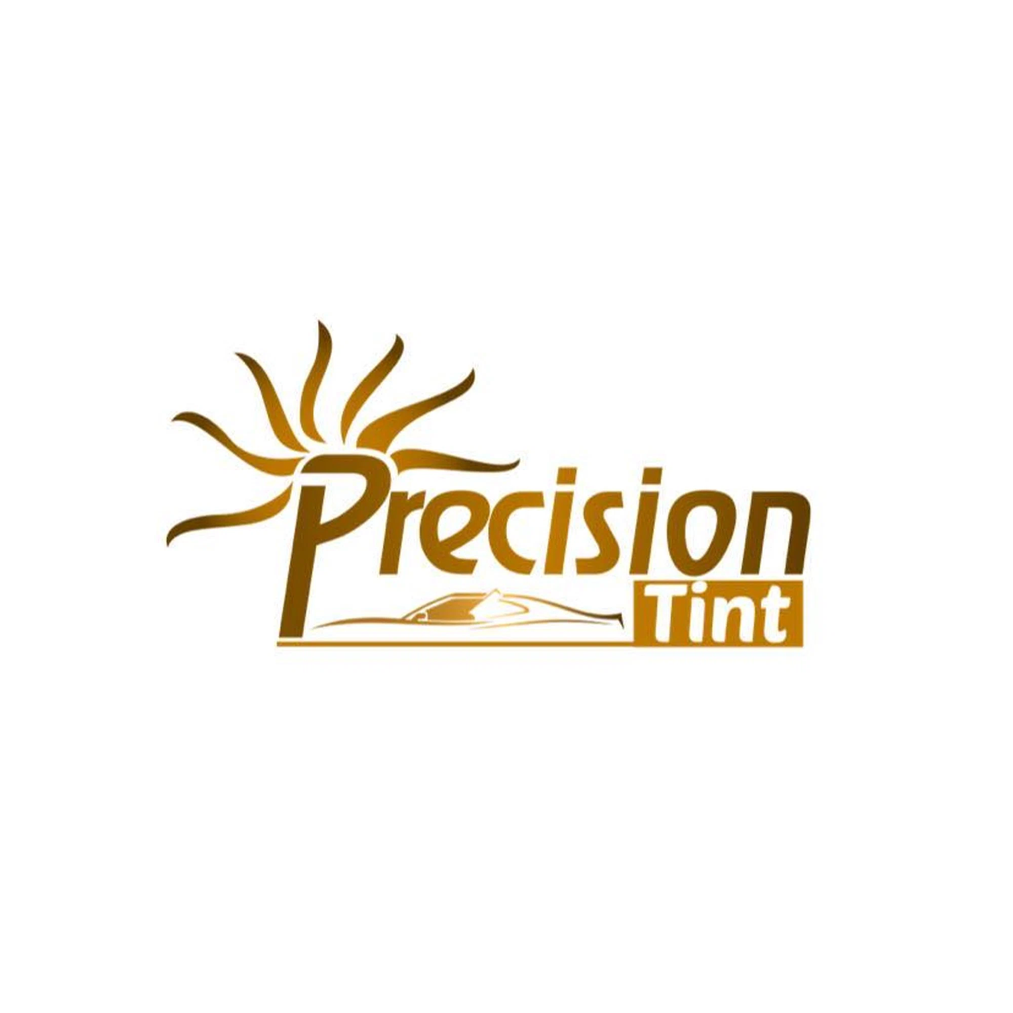 Precisiontintstl.com