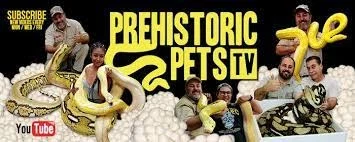 Prehistoric Pets