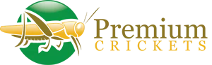 Premium Crickets