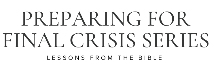 Preparing For Final Crisis