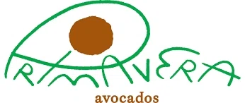 Primavera Avocados