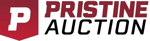 Pristine Auction Promo Codes