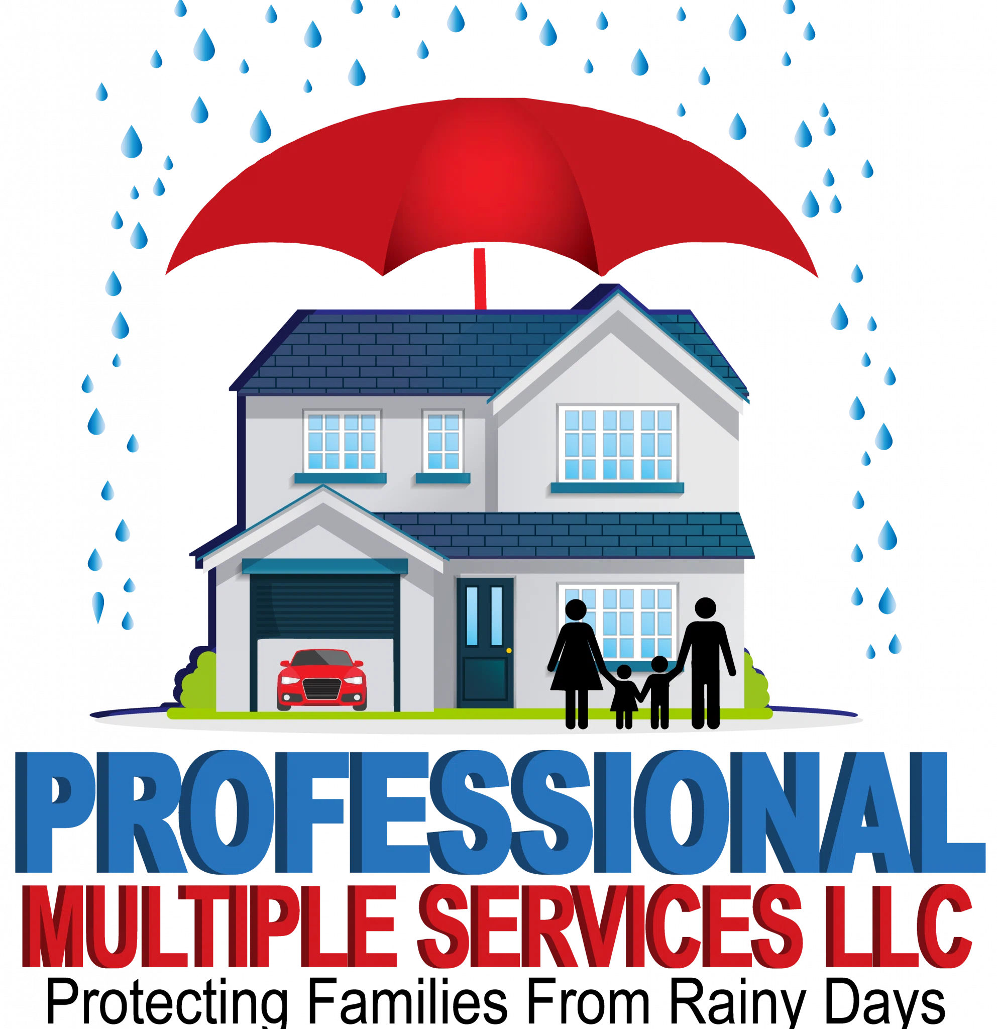Professional Multiple Services