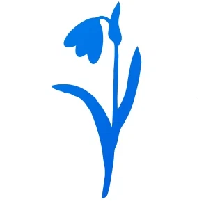 Prolisok Logo for Exclusive Deals