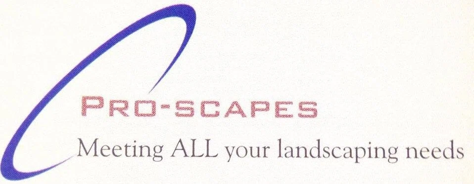 PRO-Scapes