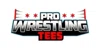 Pro Wrestling Tees