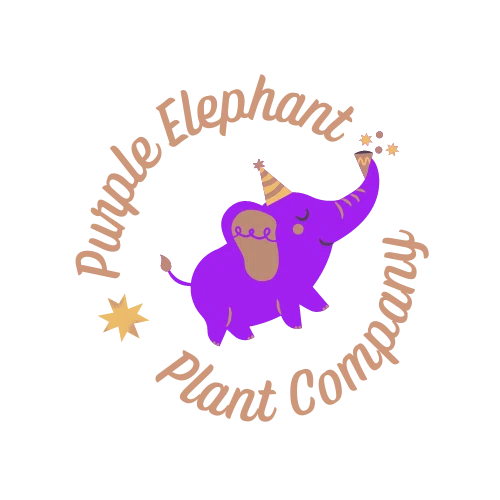 Purple Elephant Plant Co.