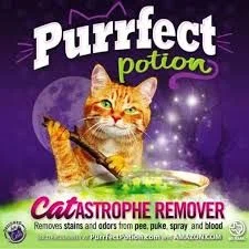 Purrfect Potion