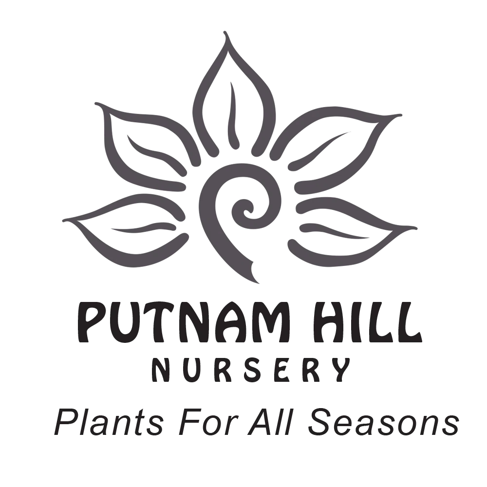 Putnam Hill Nursery