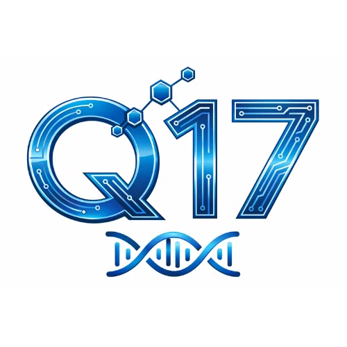Q-17