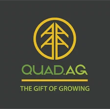 The Quad Agency