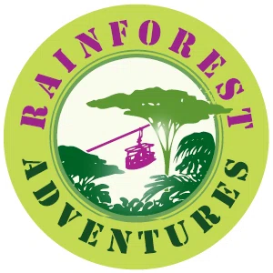 Rainforest Adventure