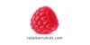 Raspberry Kids